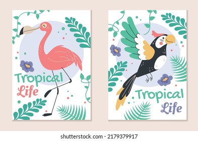 Jungle safari birds parrot greeting cards template set. Vector flat graphic design element