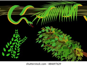 Jungle scene with anakonda snake vector illustration