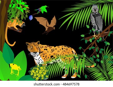 Jungle scene with  jaguar. eagle on tree, ape and bat  vector illustration