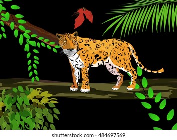 Jungle scene with jaguar on tree and bat  vector illustration