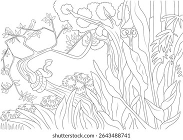Jungle Scene Line Art for Coloring, Black and white outline drawing of a lush jungle environment featuring tropical plants, trees, a snake coiled on a branch, and two birds. Suitable for coloring