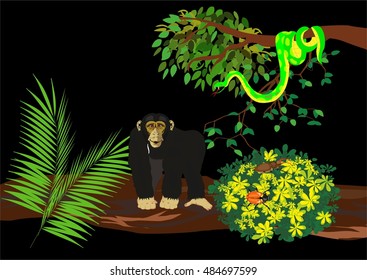 Jungle scene with mamba snake and chimppanzee vector illustration