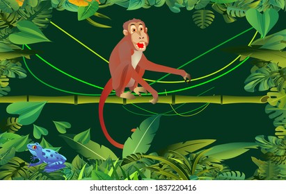 Jungle scene, monkey sits on the tree branch, green folliage frame, night junle, vector template