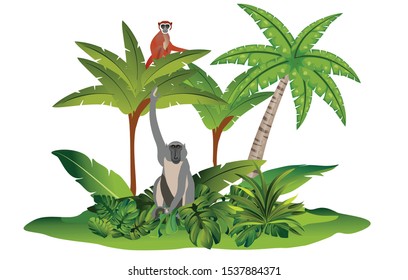 Jungle scene, monkey and tropical flora and fauna vector