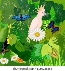 Jungle scene square illustration with Bird of toucan, parrots, butterflies, exotic plants,  rainforest fauna, vector illustration