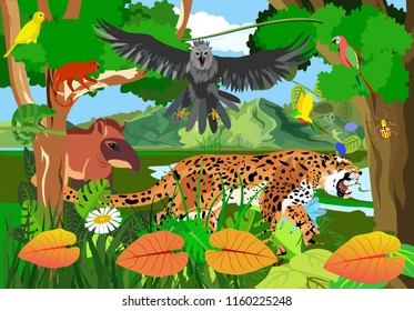 Jungle scene vector illustration with Eagle harpy, parrots, butterflies, exotic plants, jaguar, monkey, tapir  rainforest fauna, vector illustration