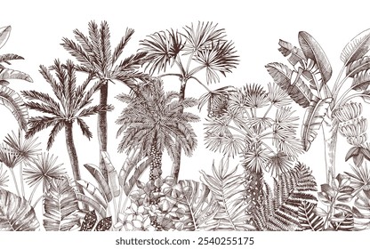 Jungle seamless border with palms and leaves