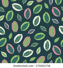 Jungle seamless pattern with colorful ficus leaves on dark green background. Perfect for tropical wallpaper, gift paper, summer greeting cards. Vector illustration