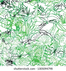 
Jungle seamless pattern. Tropical Paste. Ferns Strelitzia, liana pattern. Freehand drawing.