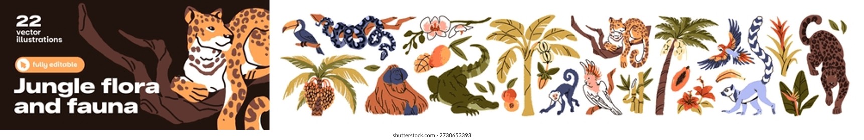 Conjunto de la selva. Diferentes árboles, animales, frutas y flores de bosque tropical. Varias aves, jaguares, palmeras, ramas y monos. Naturaleza exótica. Ilustraciones vectoriales aisladas planas sobre fondo blanco