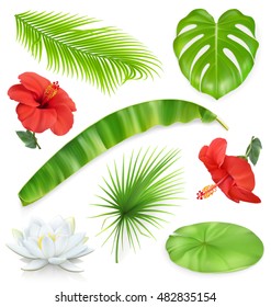 Jungle. Set of leaves and flowers. 3d vector icons