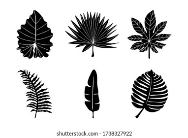 Vector de conjunto de junglas Hojas de la palma Vector tropical Objetos aislados negros Hojas de Monstera