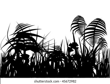 jungle silhouette