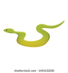 Jungle snake icon. Cartoon of jungle snake vector icon for web design isolated on white background