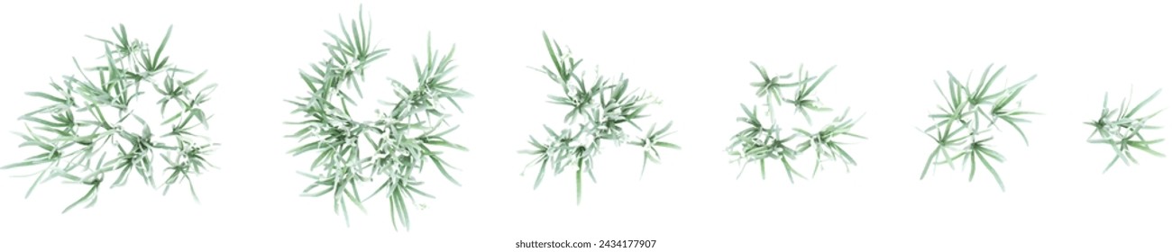 Jungle Snowdrop trees shapes cutout 3d render png set.Top view