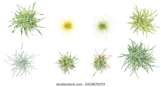 Jungle Switchgrass,Lovegrasses,Lemongrass,Forsythia Plant shapes cutout 3d render png set from top view