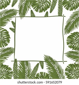 jungle template. palm template. spring. rain forest