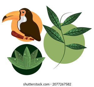 jungle toucan and leaf icons