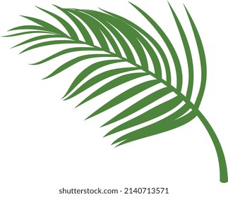Jungle tree branch. Green foliage. Tropical forest plant