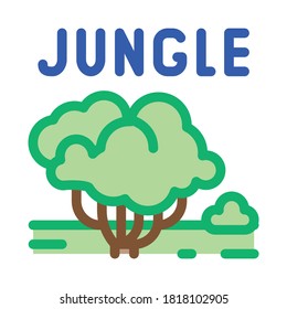 Vector de icono de árbol de la jungla. Señal de árbol de la jungla. ilustración de símbolo de contorno aislado