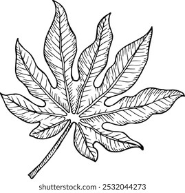 Dibujo de la hoja del árbol de la selva. Bosquejo de flora tropical