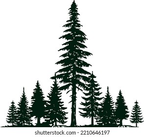 Jungle Trees Clipart - Vector Illustration 