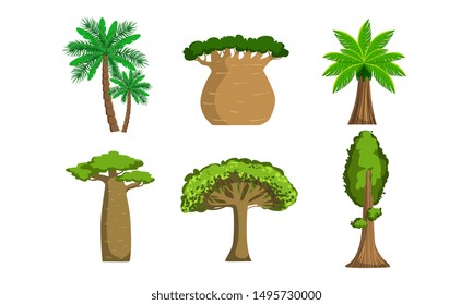Jungle Trees and Palms Set, Tropical Forest Plants Vector Illustration