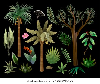 Jungle trees, plants and flowers isolated . Vector