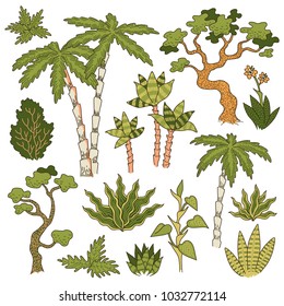 Jungle trees and plants isolated on white background. Set of botanical objects for design and decoration. 
