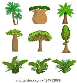 Jungle Trees And Plants Set Of Simple Style Flat Vector Illustrations On White Background