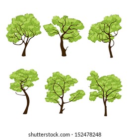 Jungle trees vector collection