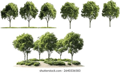 Jungle trees vector cutout, green trees transparent background cutout jungle, nature vector, tropical forest, green foliage, jungle leaves on transparent background