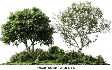 Jungle trees vector cutout, transparent background, tropical jungle, nature trees, tropical forest, isolated jungle elements, nature illustration, exotic plants