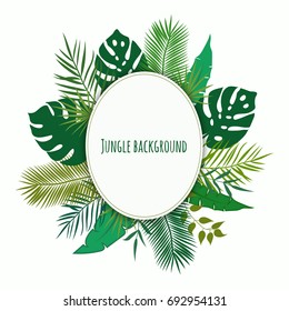 Jungle tropical  background.