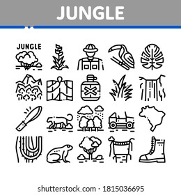 Jungle Tropical Forest Collection Icons Set Vector. Jungle Tree And Animal, Waterfall And Wood, Flower And Bush, Boot And Car Concept Linear Pictograms. Monochrome Contour Illustrations