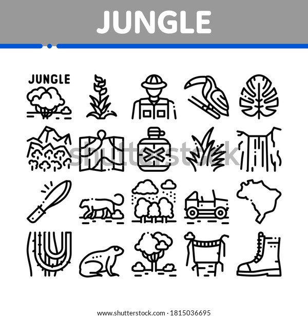 Jungle Tropical Forest Collection Icons Set\
Vector. Jungle Tree And Animal, Waterfall And Wood, Flower And\
Bush, Boot And Car Concept Linear Pictograms. Monochrome Contour\
Illustrations