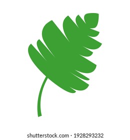 Dschungel tropisches grünes Blatt, Regenwald Kräuterelement. Stock-Vektorgrafik einzeln auf weißem Hintergrund. Kann als Einzelzeichen, Symbol oder Symbol verwendet werden. Botanische Pflanzenflache, Vektorgrafik