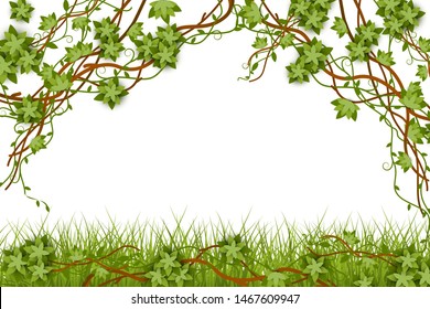 Jungle tropical lianas vine with leaves banner for wedding and invitations cards vector illustration isolated on white background. Exotic summer plants frame or border.