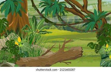 Jungle. Tropical trees, creepers and epiphytic ferns of South American rainforests. Realistic vector landscape