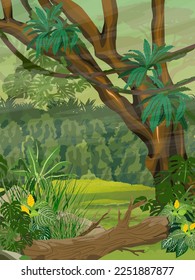 Jungle. Tropical trees, creepers and epiphytic ferns of South American rainforests. Realistic vertical vector landscape