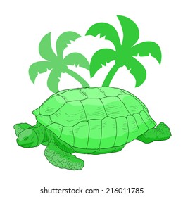 Jungle turtle