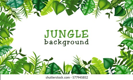 Jungle vector background