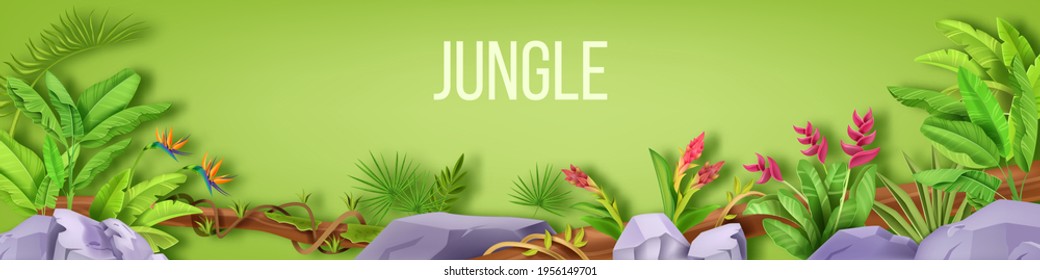 Borde vectorial de la jungla, marco forestal, fondo de hoja tropical, piedra, helecho, liana, flores en verde. Jardín exótico de verano, paisaje de selva tropical, ilustración del bosque amazónico. Borde de la jungla, vid, rocas