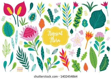Jungle vector design elements - calla, tropical flowers, palm leaves, protea, plumeria, succulents isolated on white background