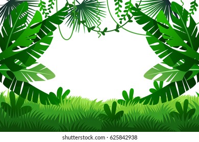 Jungle vector illustration. frame