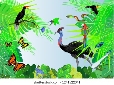 Jungle vector scene background, osctrich bird, in the  center, wildlife theme, butterflies