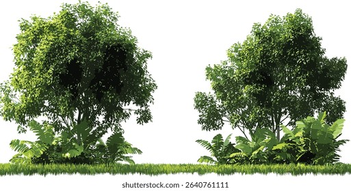 Jungle vector trees with copy space, tropical landscaping, natural forest, eco friendly outdoor design, lush greenery, jungle atmosphere, tropical plants, nature background