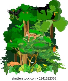 Jungle vector wirh animals scene, wildlife theme, wolf, leopard