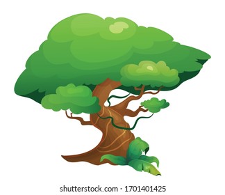 Jungle vegetation cartoon vector illustration. Rainforest tree with exotic shrubes. Lush subtropical nature. Tropical greenery flat color object. Exotic foliage isolated on white background