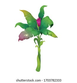 Jungle vegetation cartoon vector illustration. Subtropical shrub with blooming flower. Growing greenery with blossom. Tropical bush flat color object. Exotic foliage isolated on white background